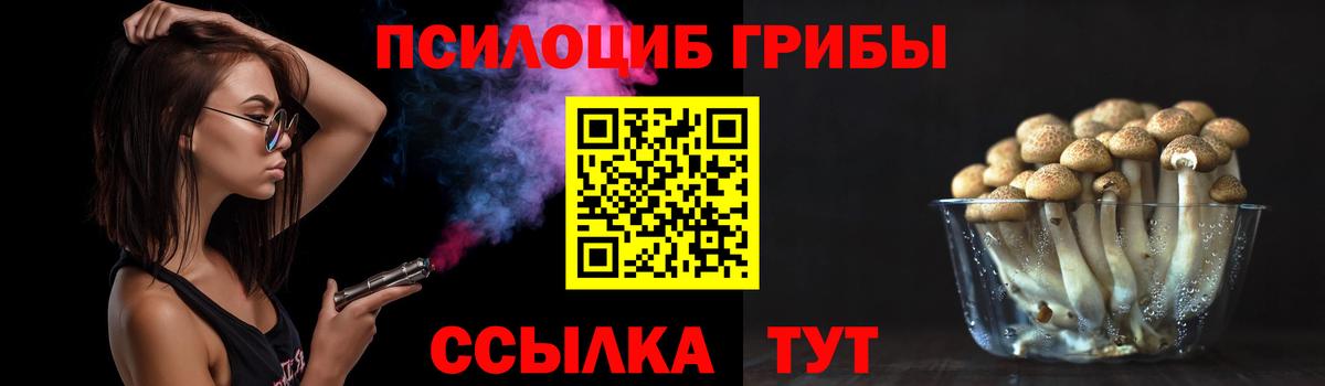 Галлюциногенные грибы Psilocybe  Псилоцибиновые грибы прущие грибы  Добрянка  Вход с VPN 
